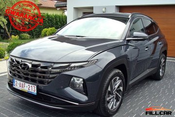 1.6 T-GDi 48V-Hybrid Kamera Navi Serwis