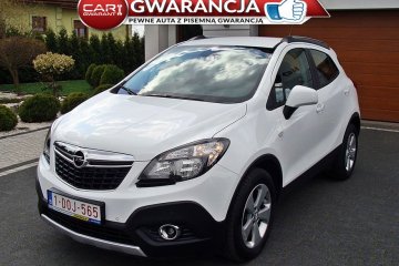 1.6 Benzyna Navi Alu Parktronik Serwis Bezwypadkowy