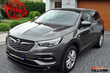 Opel Grandland X 1.5 CDTI  Serwis BEZWYPADKOWY